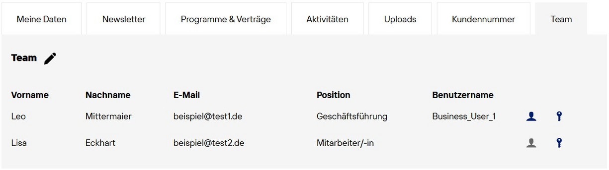 Screenshot vom Profilreiter Team